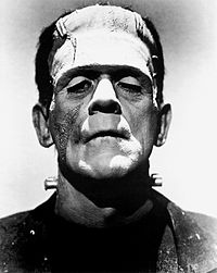 200px-Frankenstein's_monster_(Boris_Karloff).jpg
