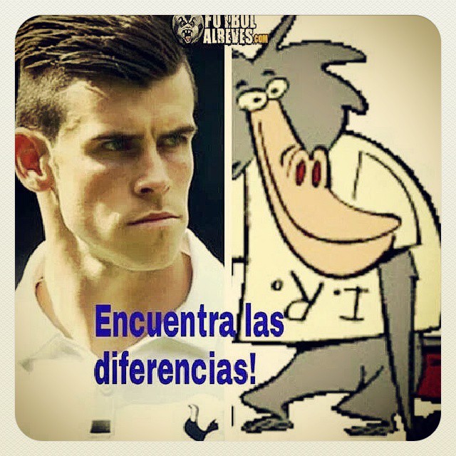 bale 1.jpg