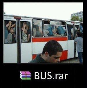 bus.jpg