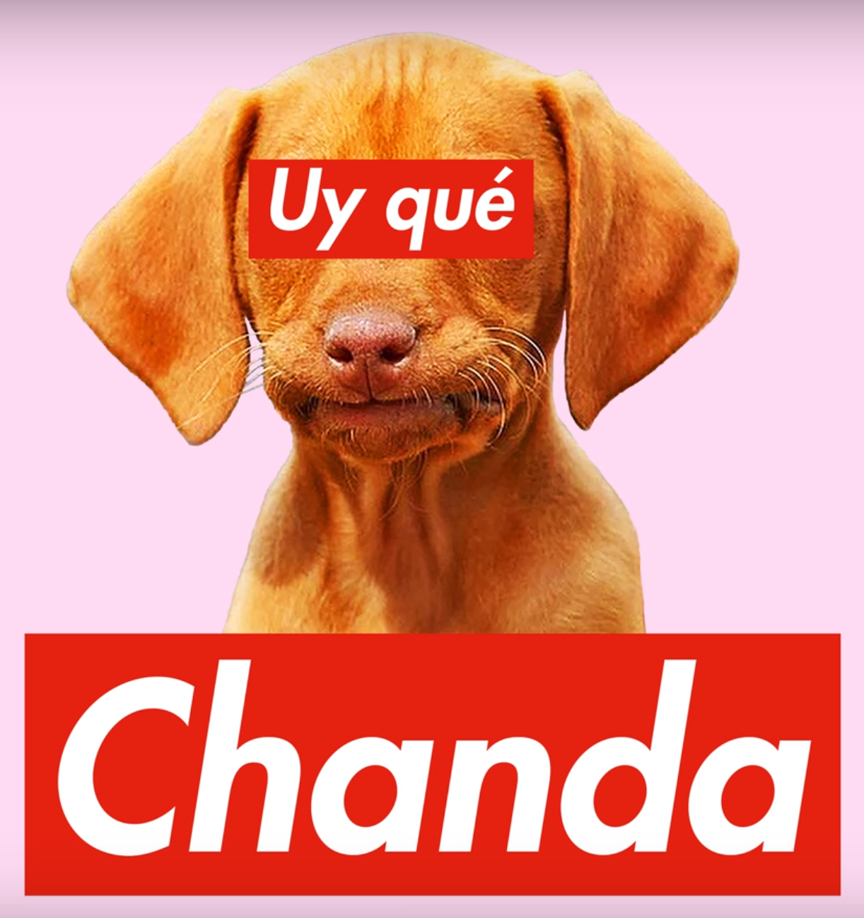 Chanda.png