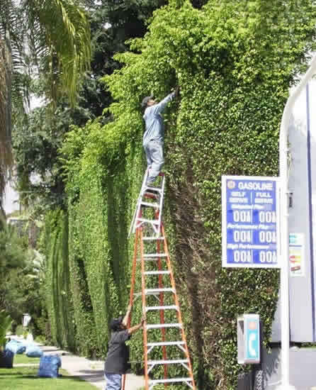 cuidado-escalera.jpg