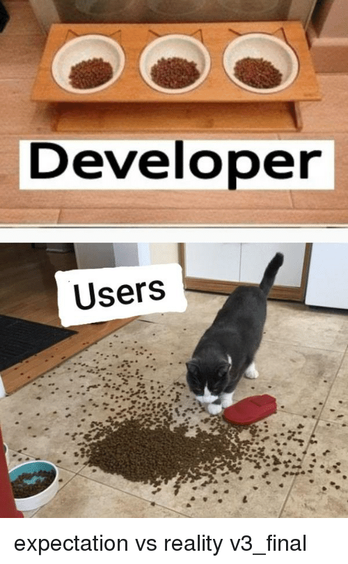 developer-users-expectation-vs-reality-v3-final-38818863.png