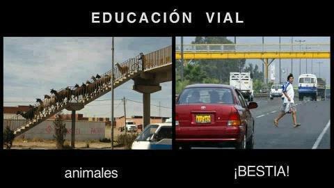 educacion vial.jpg