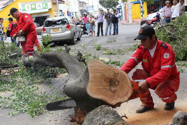 Judiciales_3.jpg