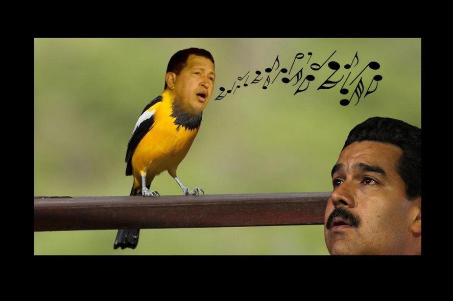 Pajarito de Chavez3.jpg